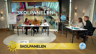 Läraren om lösningen brist på likvärdighet i skolan ”Tvålärarsystem är underb…  Nyhetsmorgon TV4 [upl. by Zitella]