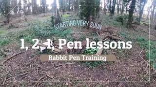 1 2 1 Gundog Training in the Rabbit Pen Training Available [upl. by Nilatak]