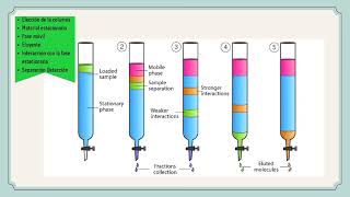 Analisis Instrumental  Tipos de Cromatografía [upl. by Rossie649]