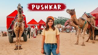 EXPLORING PUSHKAR  Pushkar Camel Fair 🐪  Things to do in Pushkar Rajasthan  Kritika Goel [upl. by Furmark477]