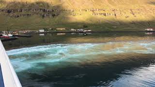 DRIFTING with Smyril Line MS Norröna in Iceland  Seydisfjordur [upl. by Enytsirhc]