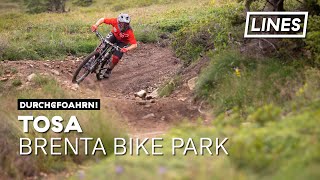 Tosa  Brenta Bike Park  LINES [upl. by Ahsercel]