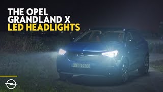 The Opel Grandland X You Never Lost It [upl. by Pinette]