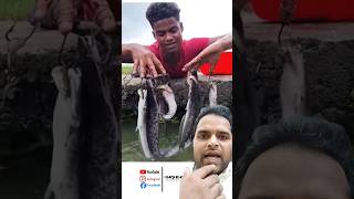 Wow Really Unbelievable Finger Hook Fishing Technique fish video shorts fingerhooktrap [upl. by Kilah844]