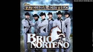 Conjunto Brio Norteno  Que Tal Si Me Das Un Beso [upl. by Ylrebmik209]