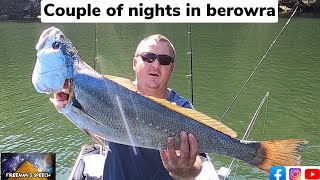 Hawkesbury river jewfish couple of nights in berowra [upl. by Danziger844]