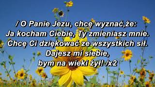 Uwielbiam Imię Twoje  PANIE [upl. by Bancroft]