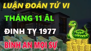 Tử vi tuổi ĐINH TỴ 1977 tháng 11 âm lịch BÌNH AN VƯỢT QUA TẤT CẢ [upl. by Isteb]