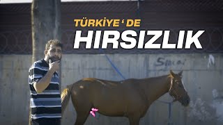 TÜRKİYEDE HIRSIZLIK [upl. by Oicnedurp]