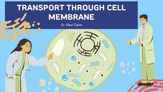 Ion Channels in Action Watching Cells Communicate [upl. by O'Callaghan41]