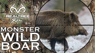 MONSTER Wild Boar Hunting in Hungary [upl. by Leonanie]