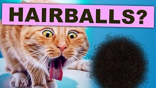 Are Hairballs DANGEROUS Cat Problems [upl. by Magill127]