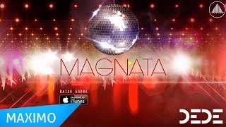 Mc Dedê  Magnata Lyric Video Oficial [upl. by Nairrod]