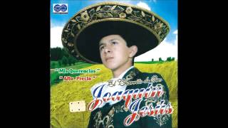 Despedida con mariachi Joaquin Jesus COVER [upl. by Abner830]