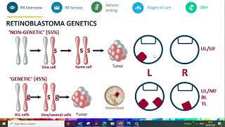 Recording of Childhood Eye Cancer Trust Online Genetics Information Evening [upl. by Trevethick966]