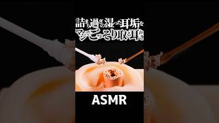 【ASMR】マジでゴッソリ取りまくるリアルな耳かきの音👂ねっちょり“湿型耳仕様”の詰まりまくった耳垢を煤竹耳かきとピンセットで1分間取り続ける両耳同時の気持ち良過ぎる耳掃除🤤睡眠導入😪 Shorts [upl. by Julienne408]