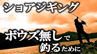 真冬のライトショアジギングでも青物連発！メジャークラフトジグパラショート・セミロングの使い分けで厳しい状況を攻略 [upl. by Acinorej]