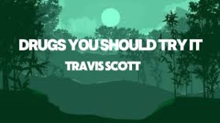 Travis Scott  Drugs You Should Try It Lyrics [upl. by Aggappe]