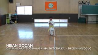 Heian Godan 2  Japan Karatedo Hayashiha Shitoryukai [upl. by Oyr]