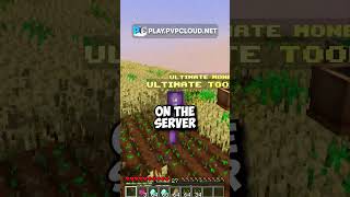 i found the new secret money making method on op minecraft skyblock server is super op [upl. by Araes460]