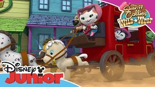 Sheriff Callie  Driving Song  Official Disney Channel Africa [upl. by Edlun350]