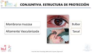 Anatomía Aplicada al Trauma ocular [upl. by Ahsal]