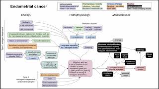 Endometrial cancer mechanism of disease [upl. by Todhunter538]