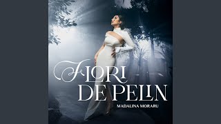 Flori de pelin [upl. by Neala]