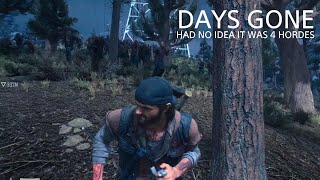 DAYS GONE HAD NO IDEA IT WAS 4 HORDES [upl. by Broadbent]