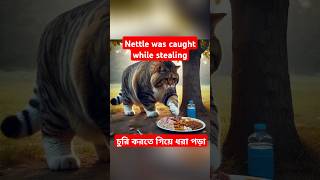 চুরি করে লজ্জিত নিটল  Nettle was caught while stealing cat animation cartoon aicat [upl. by Dyl975]