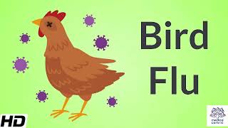 Bird FluAvian Influenza Causes Signs and Symptoms Diagnosis and Treatment [upl. by Amary]