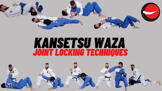 Kansetsu Waza  Joint Locking Techniques [upl. by Eytak]