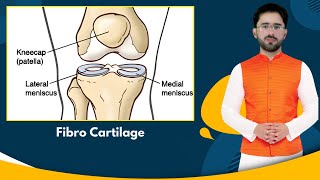 Promo  04  Fibrocartilage  PPSC Lecturer ZoologyBiology [upl. by Popele213]