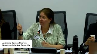 Intervención de Alejandra Barrios directora de la MOE en la Comisión Primera de la Cámara [upl. by Aicinoid530]