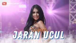 Karaoke  Jaran Ucul  Suliyana Official Video Karaoke ANEKA SAFARI [upl. by Ecyrb]