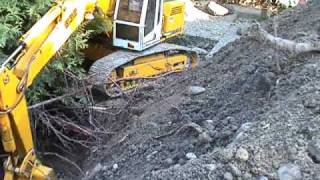 VIDEO  2 Hecke ausgraben Teil 2  Hedge digging Part 2 [upl. by Ellenaej667]