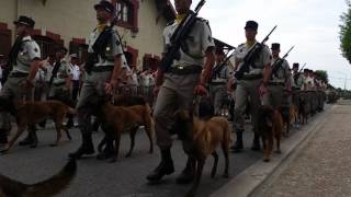 Le 132e bataillon cynophile de Suippes régiment unique en France [upl. by Alletneuq]