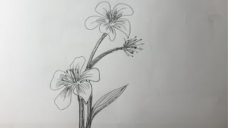 Flower Drawing tutorial [upl. by Hoffmann994]