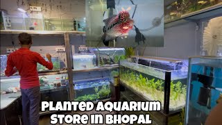 PLANTED AQUARIUM SHOP IN BHOPAL  RS PETS ZONE [upl. by Neehar]