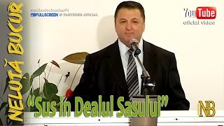 NELUTA BUCUR  Sus in Dealul Sasului live video [upl. by Rusert]