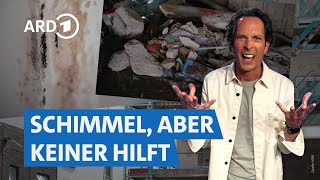 Mieten und Bauen Herausforderungen auf dem Wohnungsmarkt  Die Tricks… NDR amp SWR [upl. by Eadrahc970]