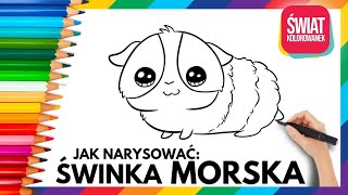 ŚWINKA MORSKA  jak narysować [upl. by Undine]