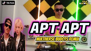 APT Multiverse Viral Budots Remix 2024  Dj Sandy Remix [upl. by Eivla]