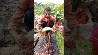 Amazing Pangas fish Cutting Skills By Local Fish Market in Bangladesh Ep3 shorts [upl. by Esadnac]