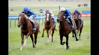 SHADOW OF LIGHT makes history for Charlie Appleby in the 2024 Dewhurst Stakes [upl. by Ajar761]