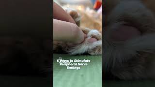 How to Stimulate Peripheral Nerve Endings [upl. by Anne-Corinne]