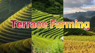 Farming Methods of Agriculture  What is Terrace Farming [upl. by Fanchette]