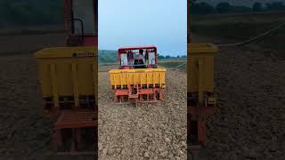 Farming garlic masin 🧄🧄 farmer kisan farming viralvideo garlic garlicfarming [upl. by Charisse999]