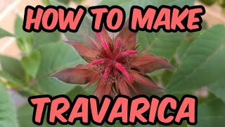 How to make Travarica [upl. by Akimahc535]