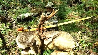 Bow Hunting Fallow Deer with a Longbow [upl. by Euqcaj90]